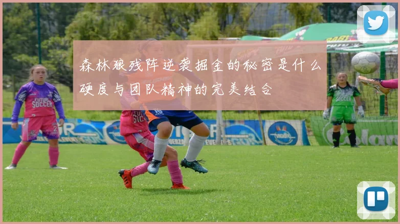 森林狼残阵逆袭掘金的秘密是什么硬度与团队精神的完美结合