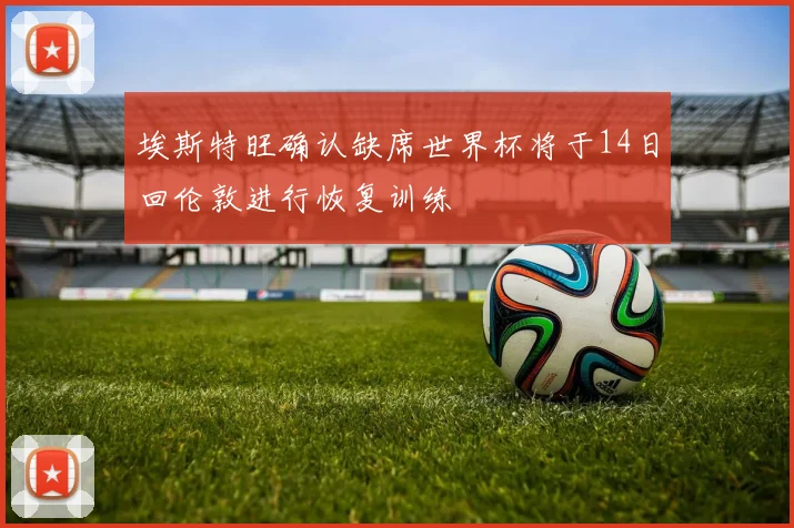 埃斯特旺确认缺席世界杯将于14日回伦敦进行恢复训练